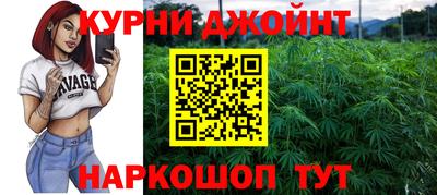 герыч Кингисепп