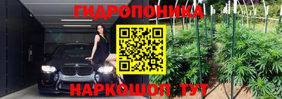 герыч Кингисепп