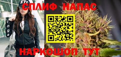 герыч Кингисепп