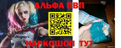 герыч Кингисепп