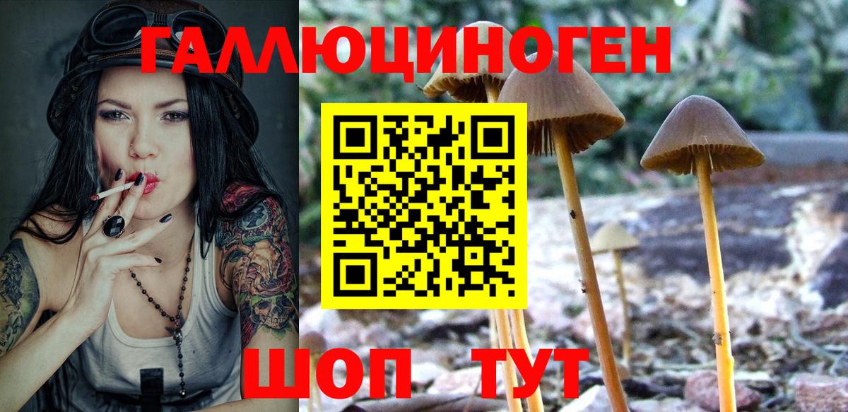 Галлюциногенные грибы Cubensis  Вход с VPN  Кингисепп 