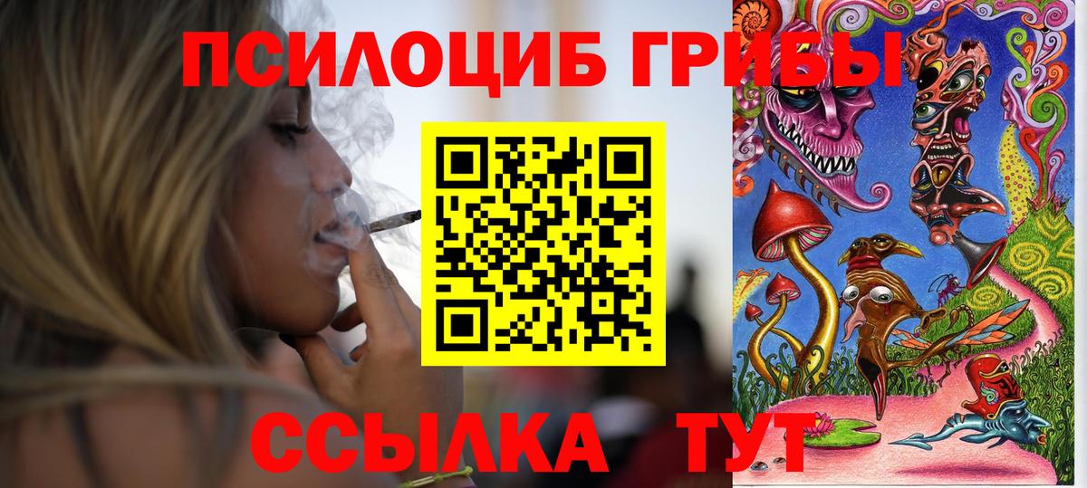 Галлюциногенные грибы MAGIC MUSHROOMS Кингисепп