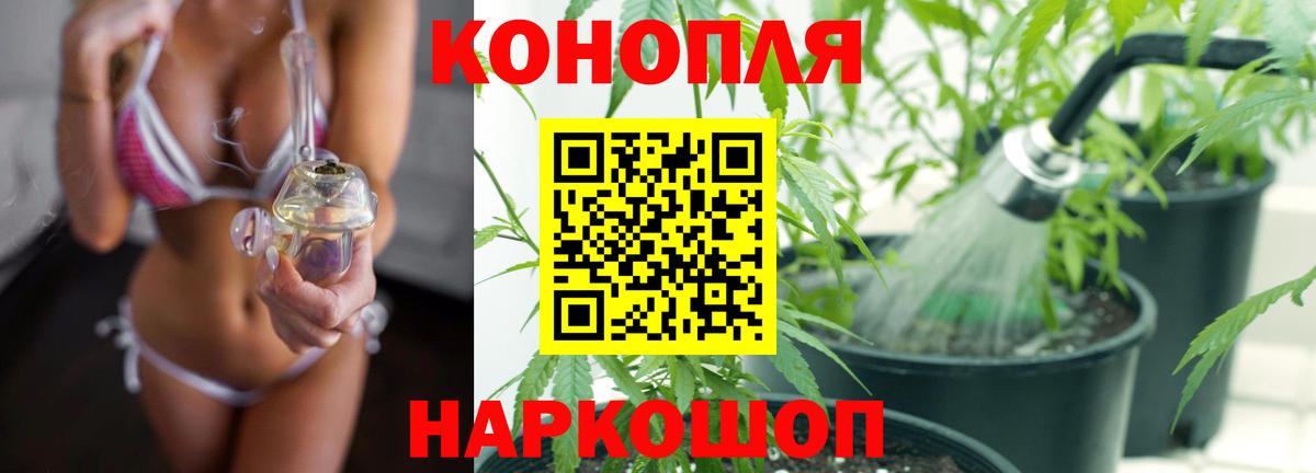 Бошки марихуана THC 21% Кингисепп